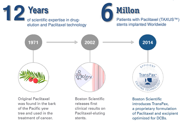 History for Paclitaxel on cardiovascular space
