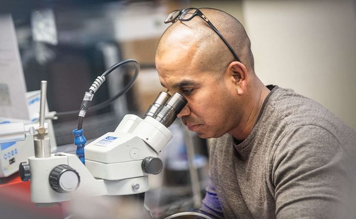 men looking in the microscope