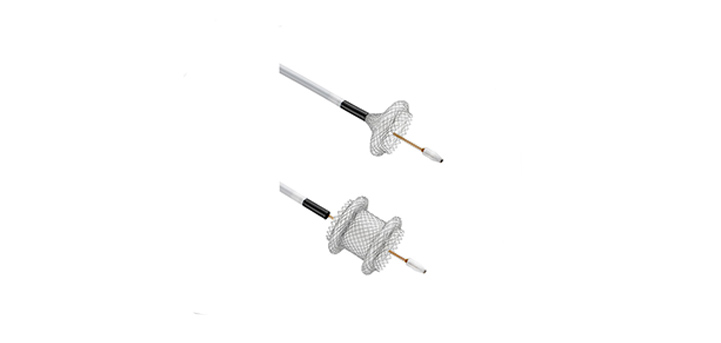 AXIOS™ Stent and Electrocautery Enhanced Delivery System   