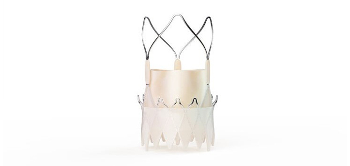 ACURATE neo2 Aortic Valve System