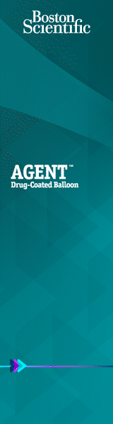 Gain lesion access with ROTAPRo.