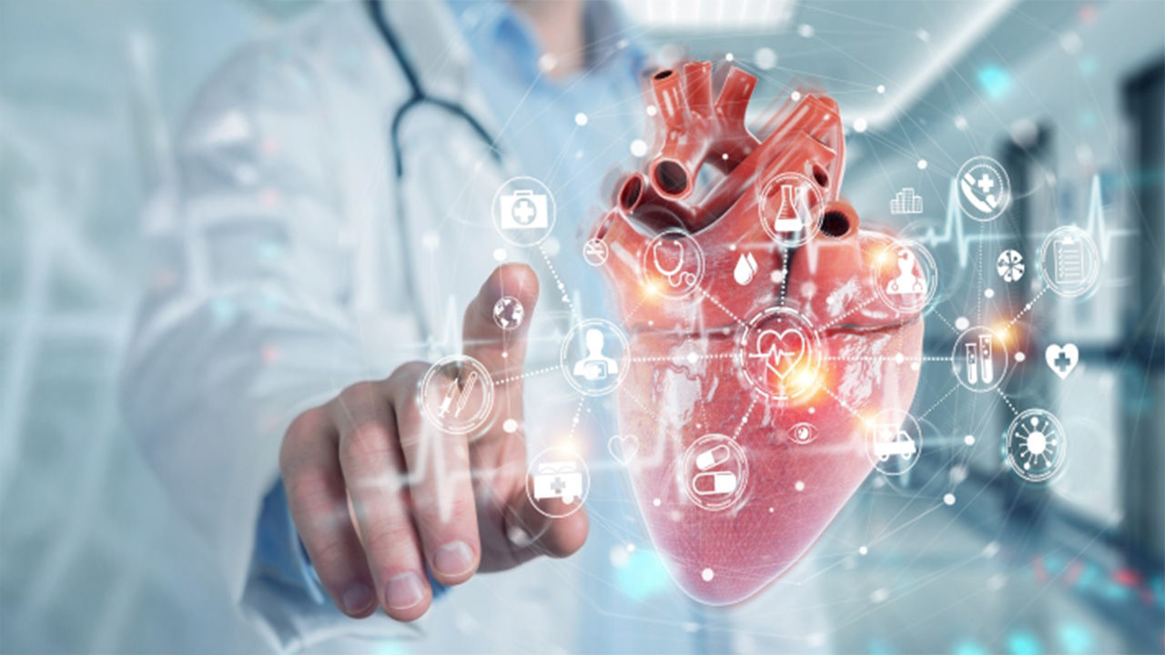 Doctor interacting with a digital heart model representing cardiovascular technology.