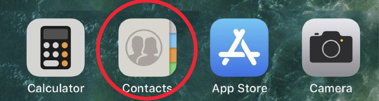 iOS Contacts