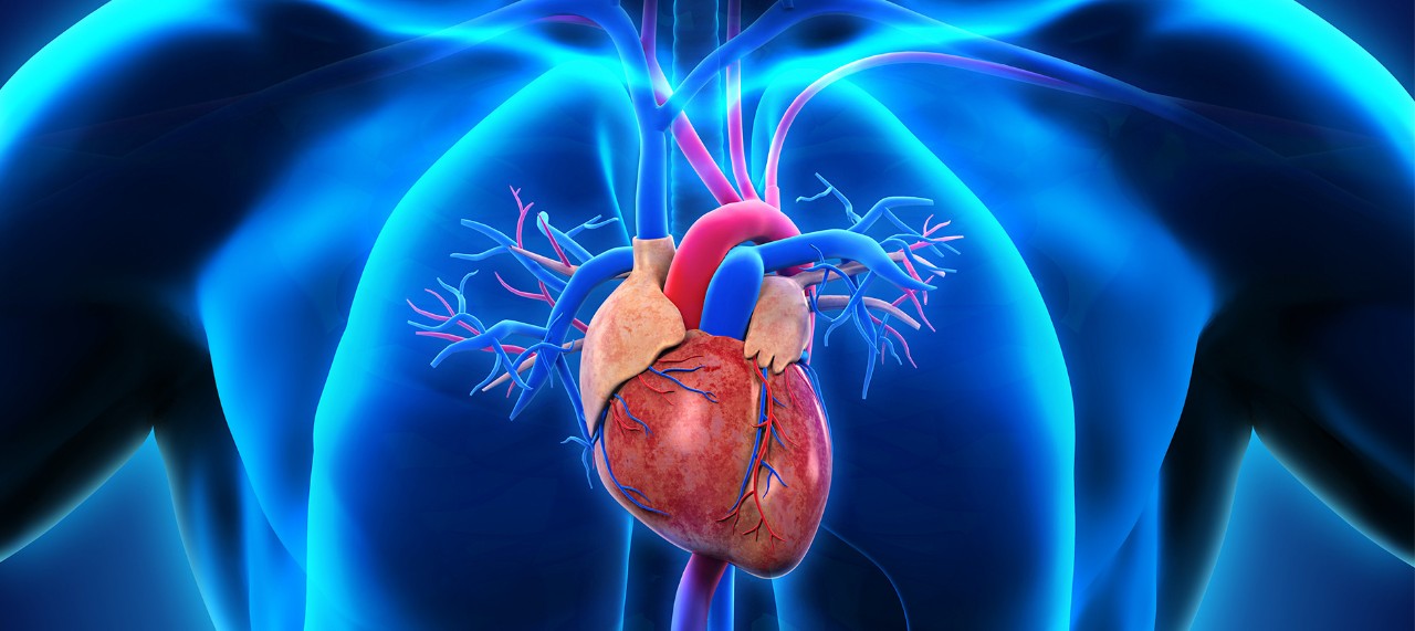 image of heart with blue shadow body