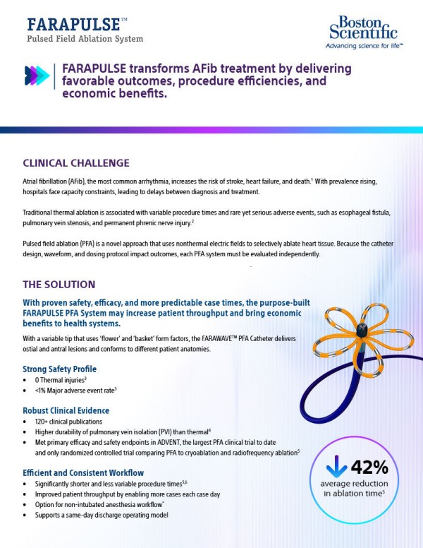 Cardiac Ablation and Mapping Product Suite Boston Scientific Boston