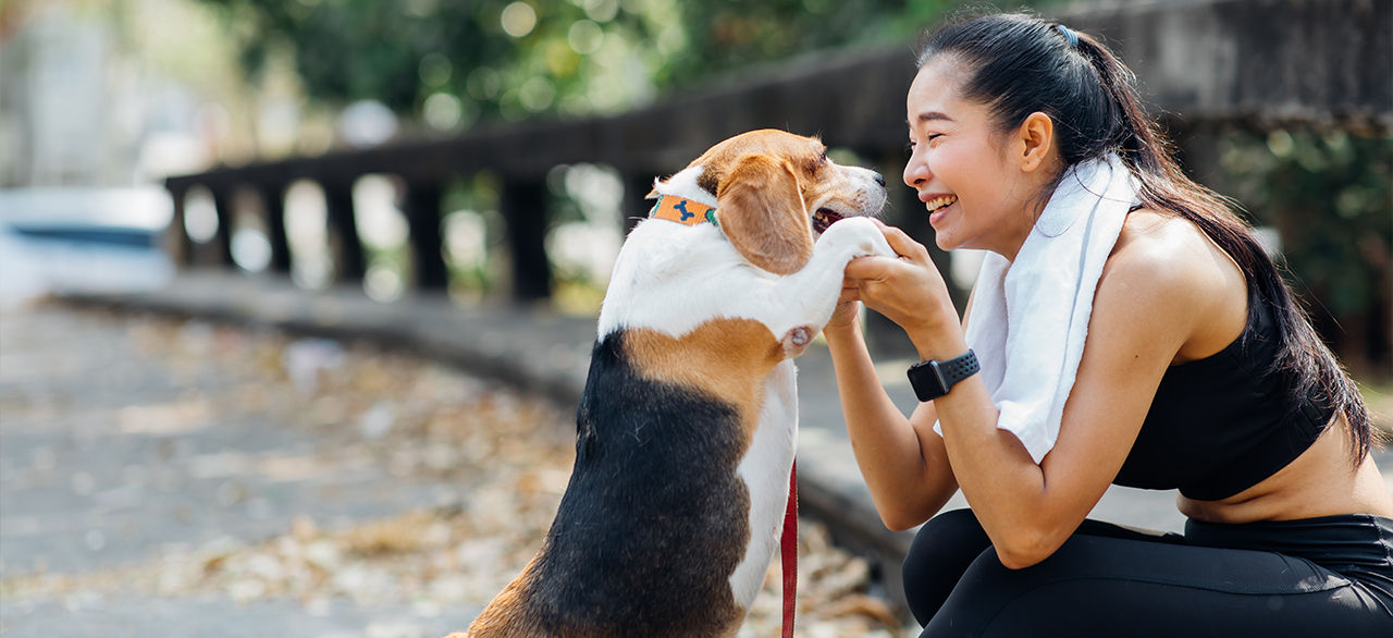 A young woman in athletic wear smiling and playing with a beagle dog outdoors.