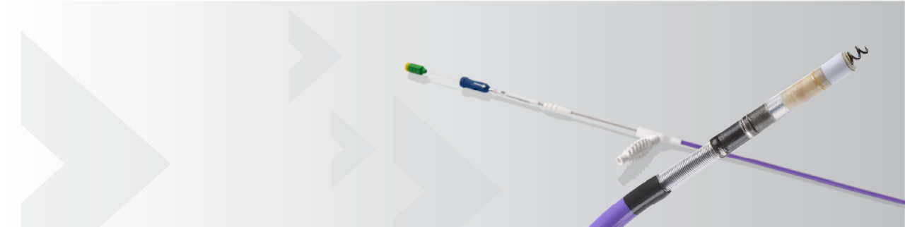 Boston Scientific conduction system pacing (CSP) portfolio.