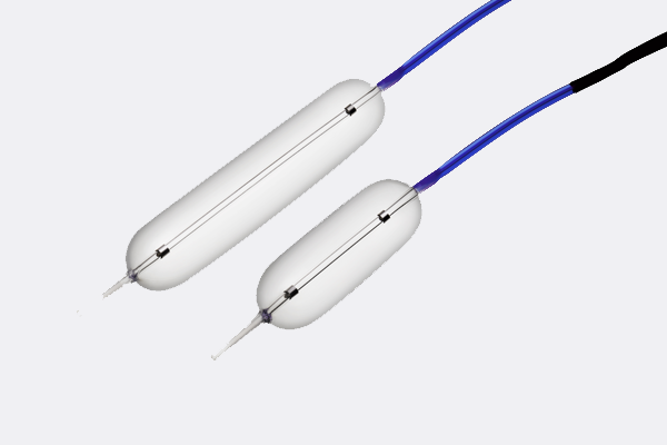 Biliary Accessory Devices 
