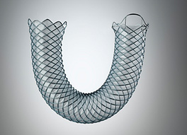 Metal stents image.