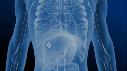 anatomy image