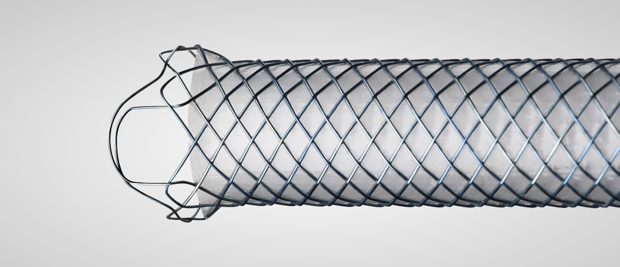metal stent