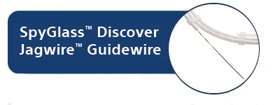 SpyGlass™ Discover Jagwire™ Guidewire image