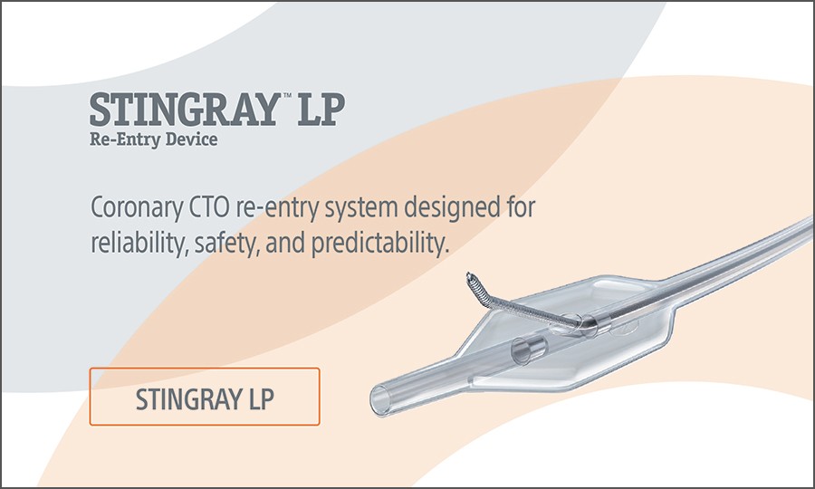 STINGRAY™ LP Coronary CTO Re-Entry System
