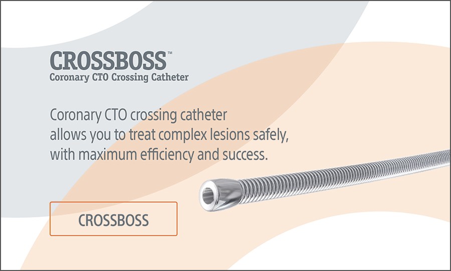 CROSSBOSS™ Coronary CTO Crossing Catheter