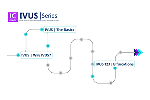 Screenshot of the IVUS Series map in EDUCARE.