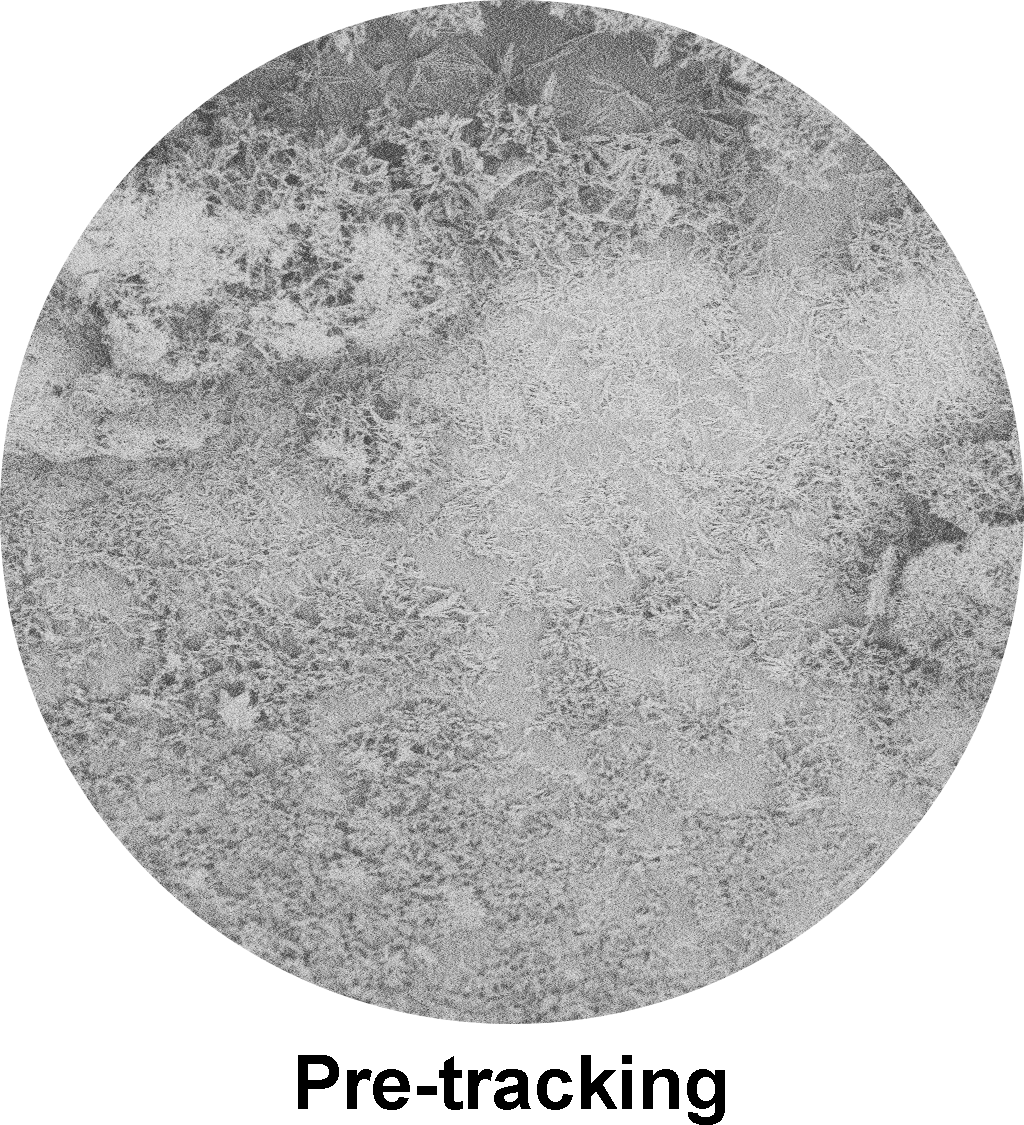 AGENT™ DCB Paclitaxel Drug pre-tracking.