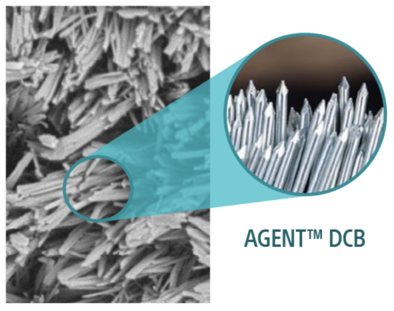 AGENT: Sharp-edge Paclitaxel.