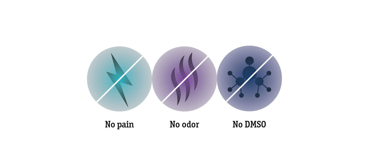 Obsidio Conformable Embolic patient experience.