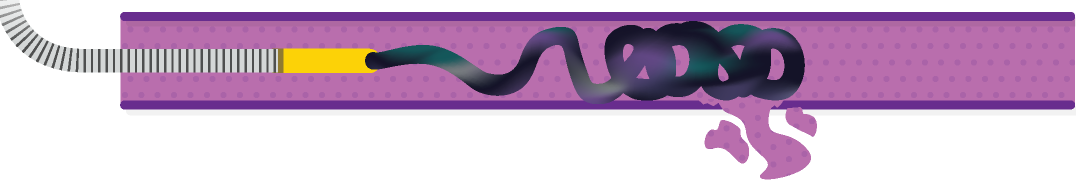 Obsidio Conformable Embolic Coil-like delivery.