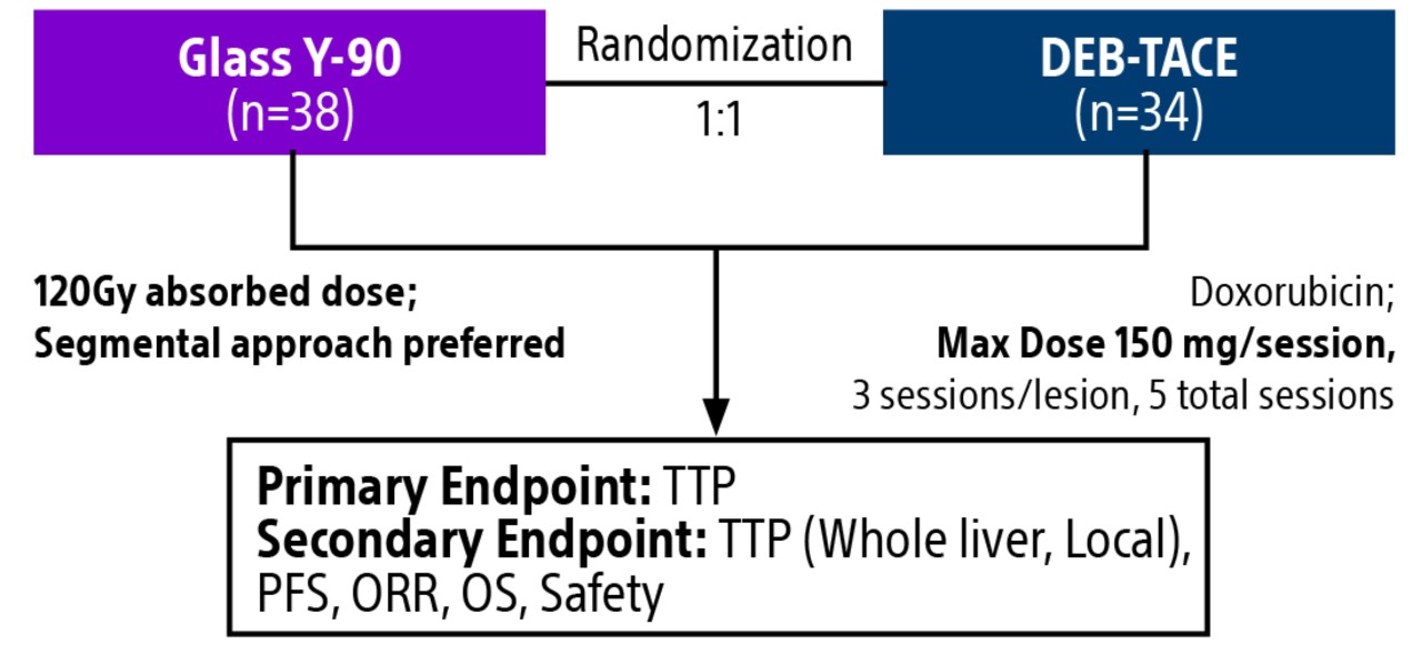 Diagram showing Glass Y-90 (n=38) and DEB-TACE (n=34), randomization 1:1, with Primary Endpoint: TTP and Secondary Endpoint: TTP (whole liver, local), PFS, ORR, OS, Safety.