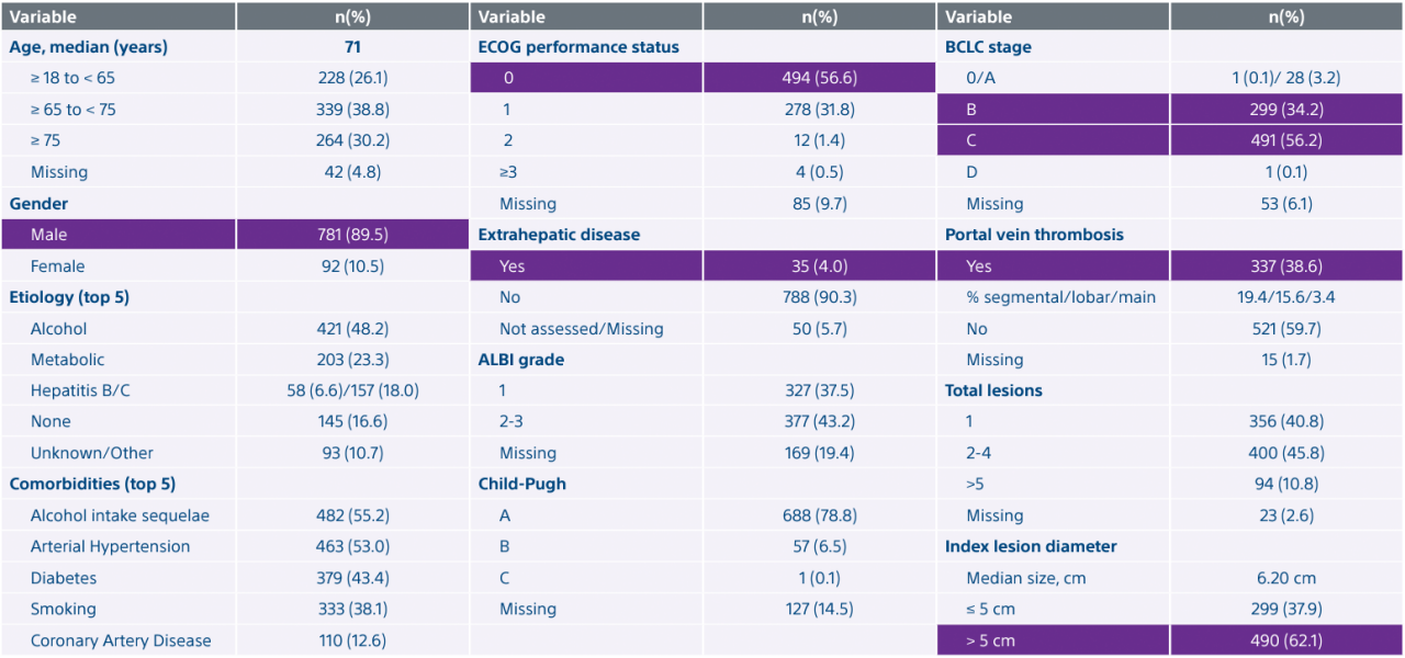 Patient demographics and disease characteristics.
