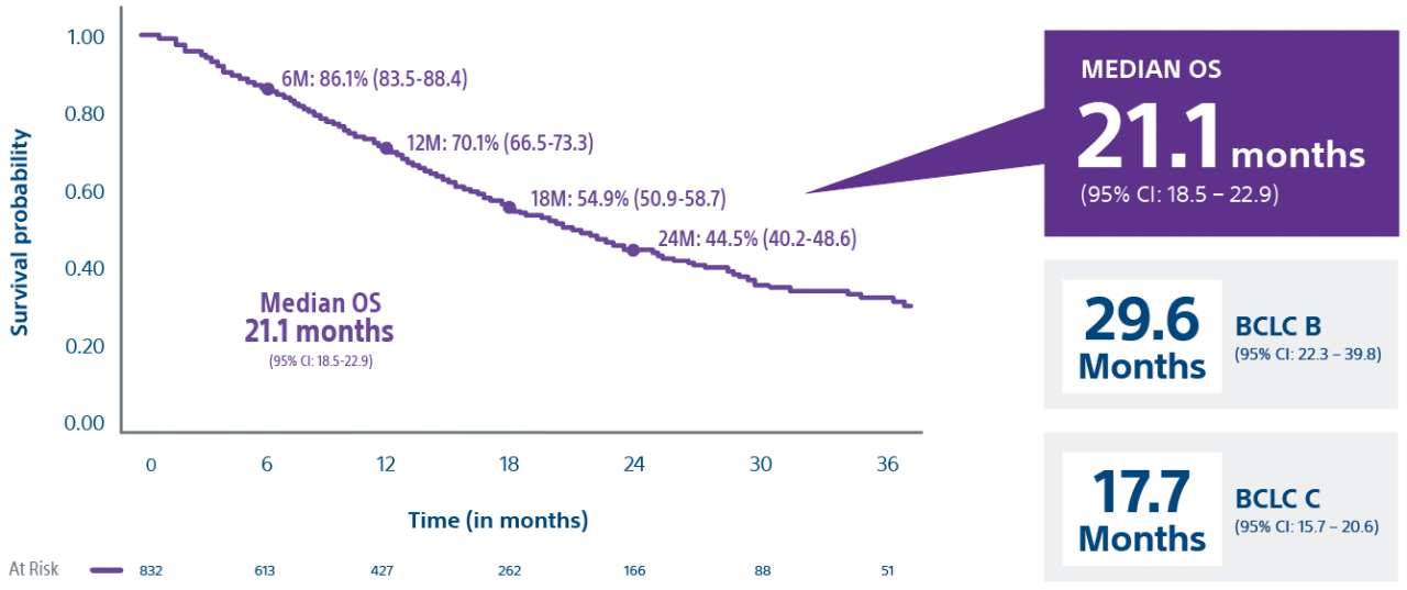 Median overall survival of 21.1 months, BCLC B at 29.6 months, BCLC C at 17.7 months.