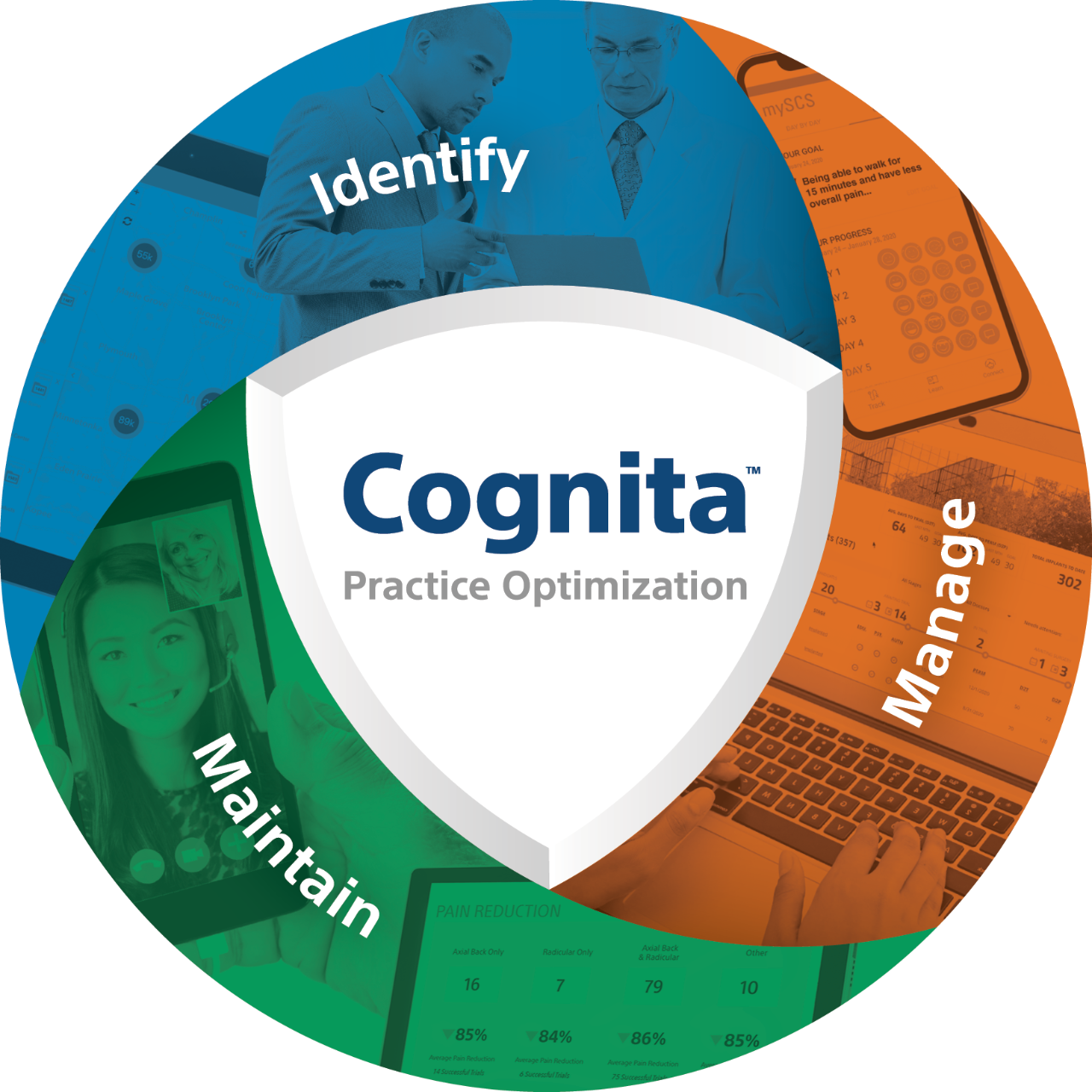 Cognita Practice Optimization in a circle with sections reading identify, manage and maintain.