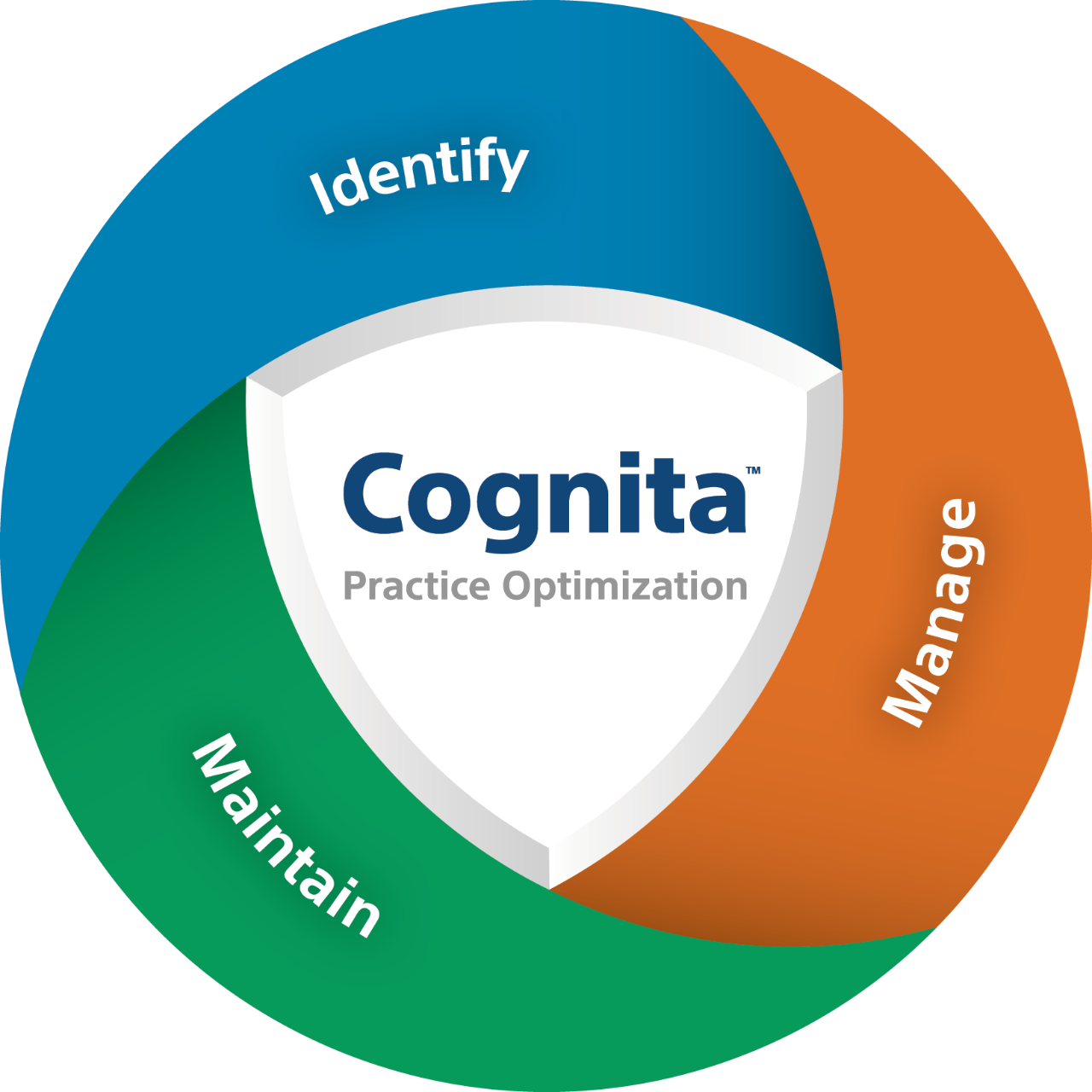 Cognita Practice Optimization in a circle with sections reading identify, manage and maintain.