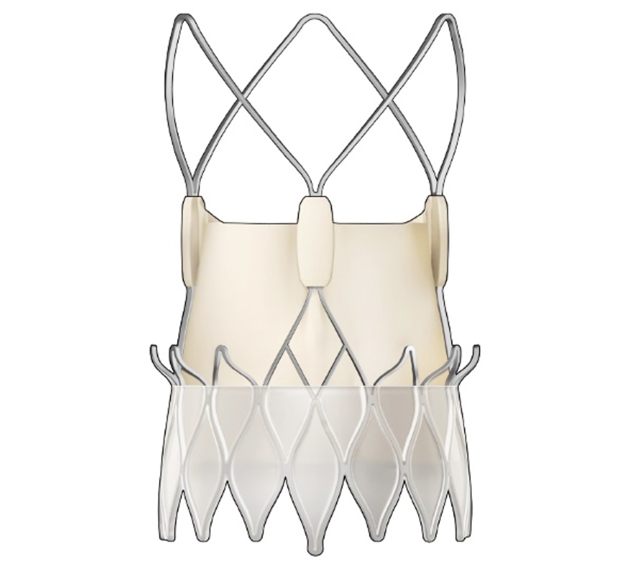 ACURATE Prime™ Aortic Valve System XL