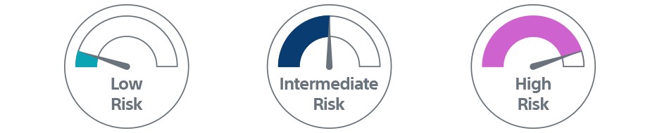 Risk Icons