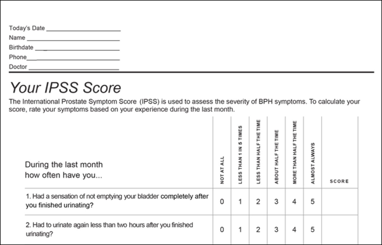 IPPS symptom score PDF preview.