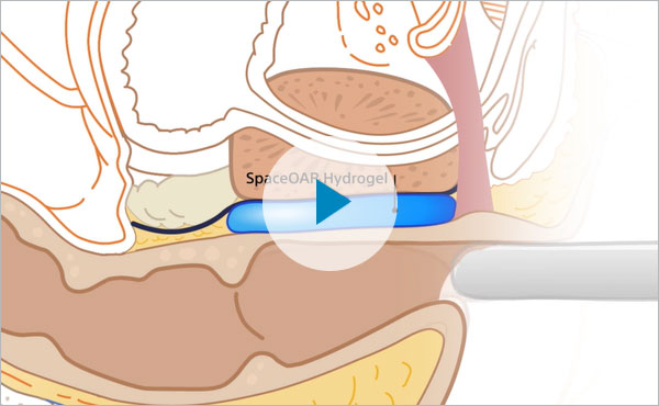 thumbnail of the clinical summary.