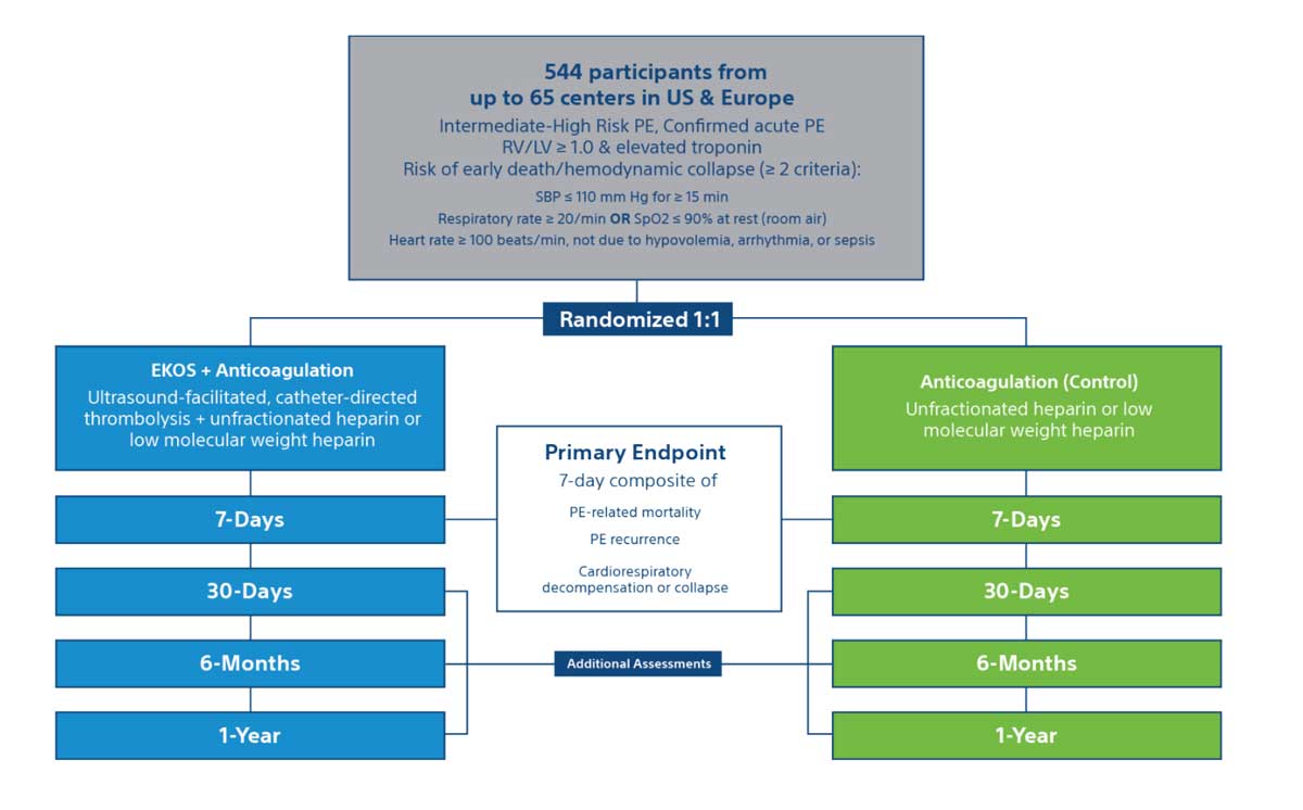 Hi-Peithos trial design chart.