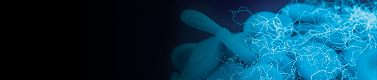 Blood platelets creating clots on blue background.