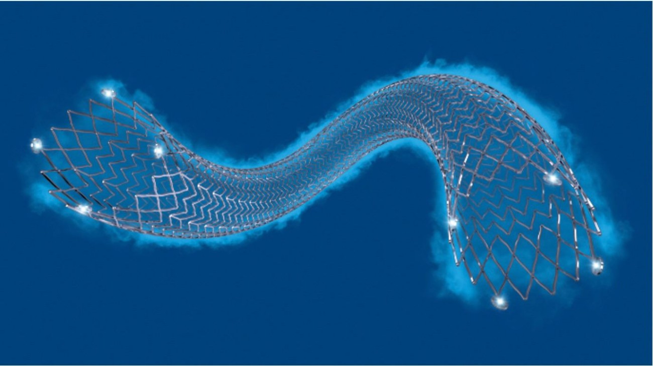 Peripheral Artery Disease Boston Scientific