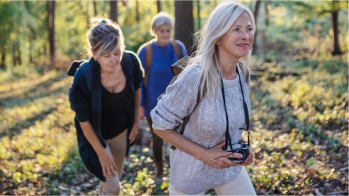Three women hiking and taking photographs in the forest 