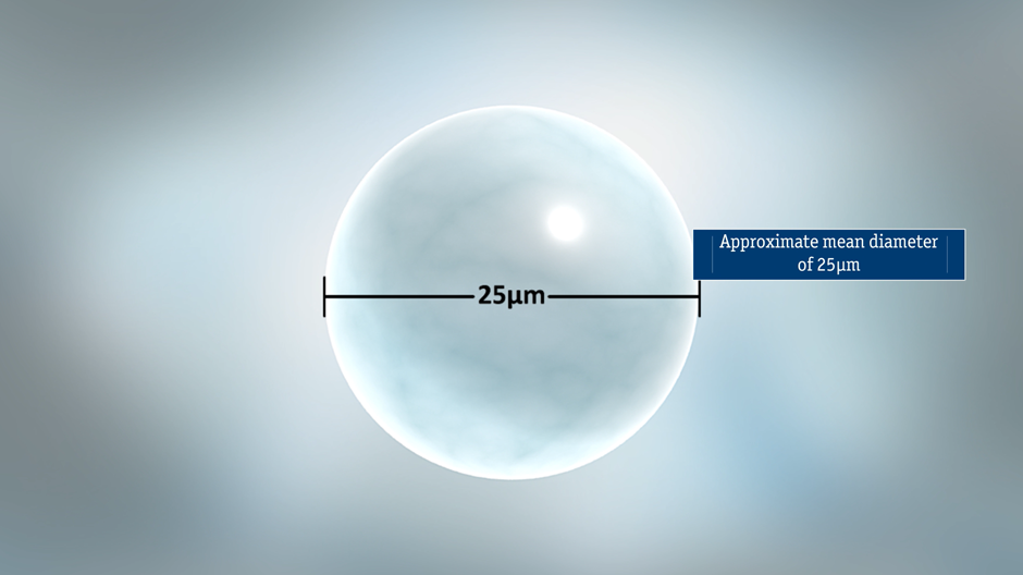 Therasphere™ Y90 Glass Microspheres - diameter