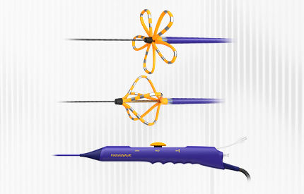 FARAWAVE Pulsed Field Ablation Catheter in variable distal shapes of basket and flower, and FARADRIVE Steerable Sheath.