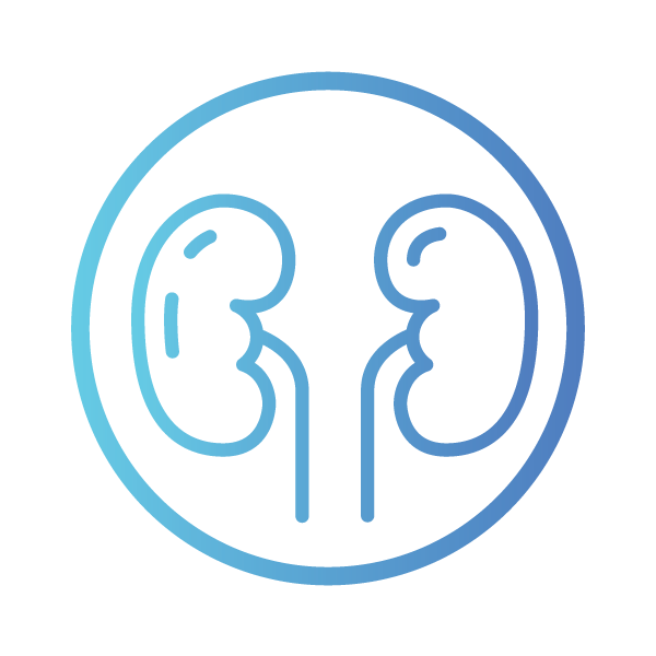 icon-kidney.