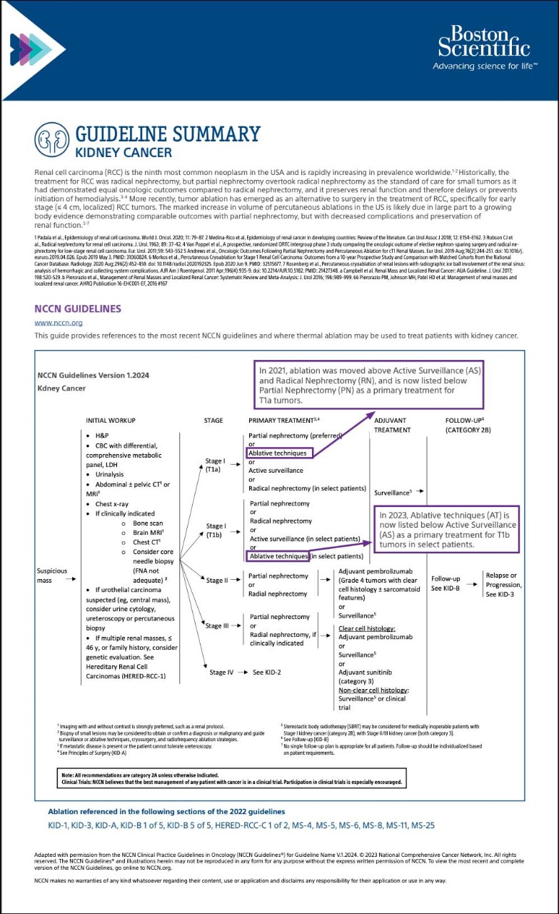 PDF Kidney Cancer Guideline summary