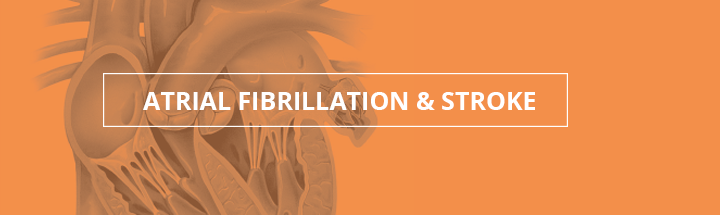 Atrial Fibrillation and Stroke