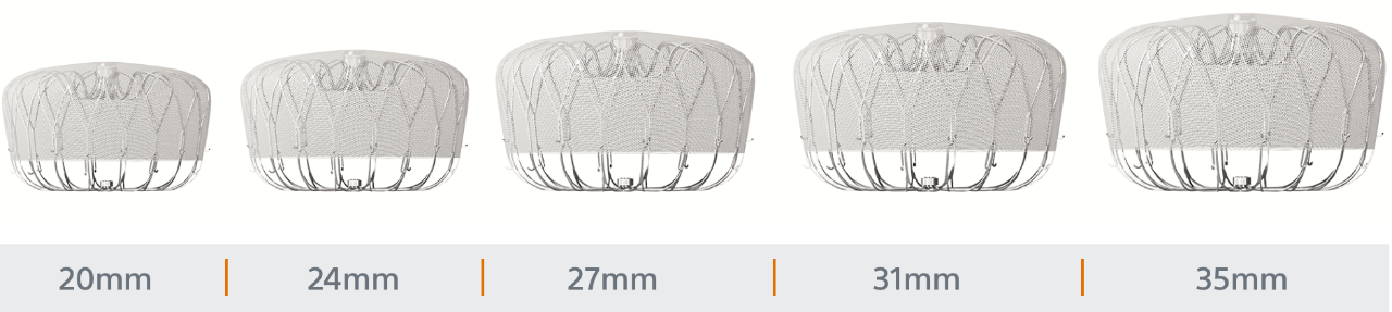 WATCHMAN FLX Device Sizes