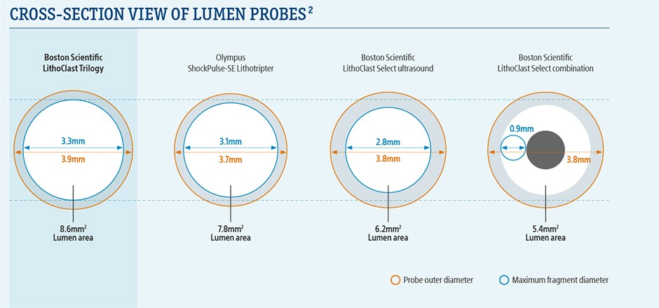 Cross-Section View of Lumen Probes. 2