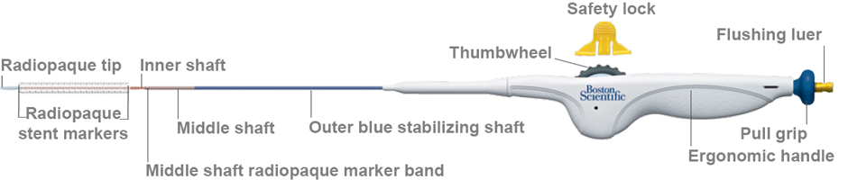 Schematic of Innova Stent from radiopaque tip to flushing luer