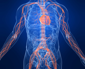 interventional oncology