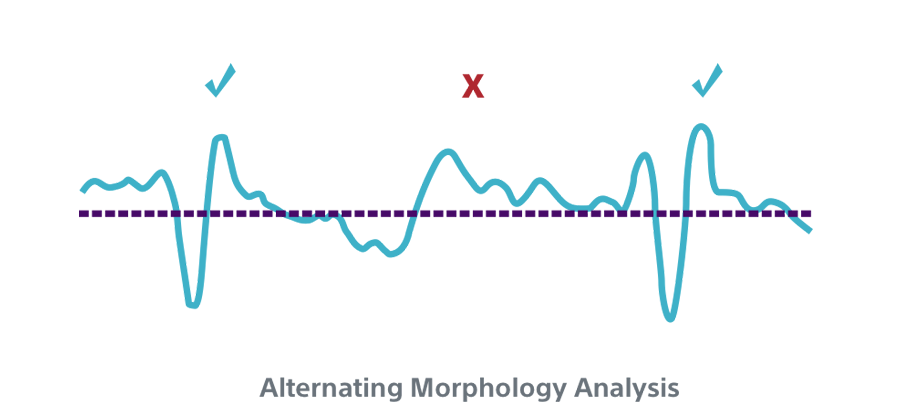 Alternating Morphology Analysis INSIGHT Technology algorithm.