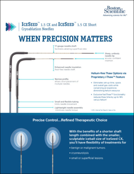 Visual ICE Brochure