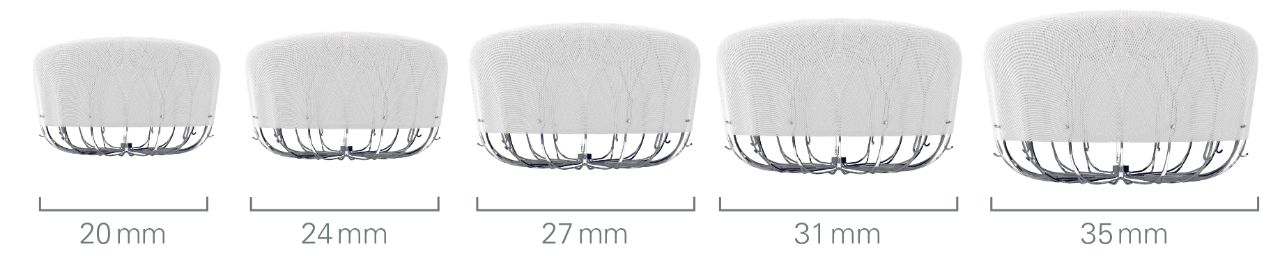 WATCHMAN FLX Sizing