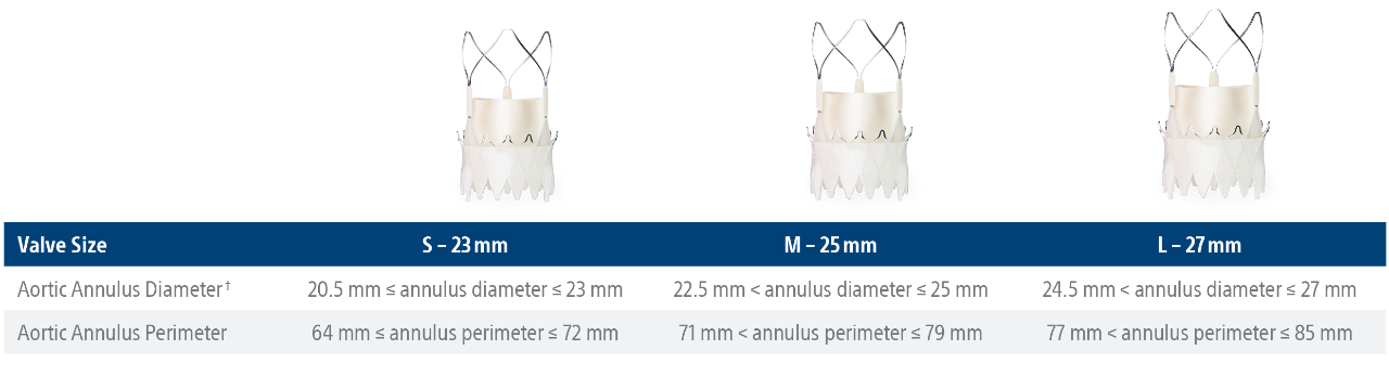 valve sizing