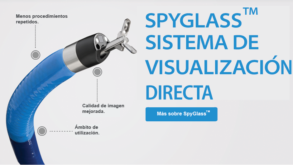SpyGlass™ DS Sistema de Visualización Directa